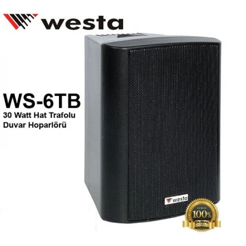 Westa WS-6TB 30 Watt Hat Trafolu Duvar Hoparlörü